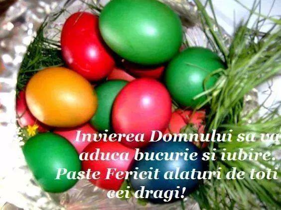 Felicitare Scoala Gorjeana