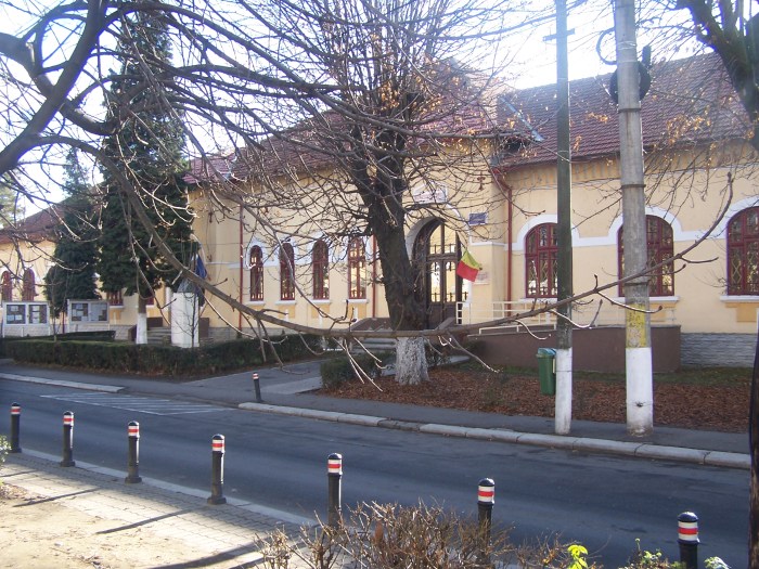 Şcoala Gimnazială "Alexandru Ştefulescu"