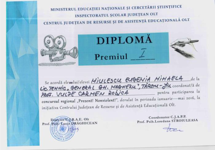 Diploma 1